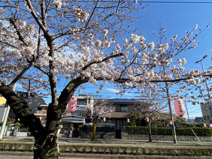 岡崎市で和モダンの家を建てる方はサン工房・スタジオへ